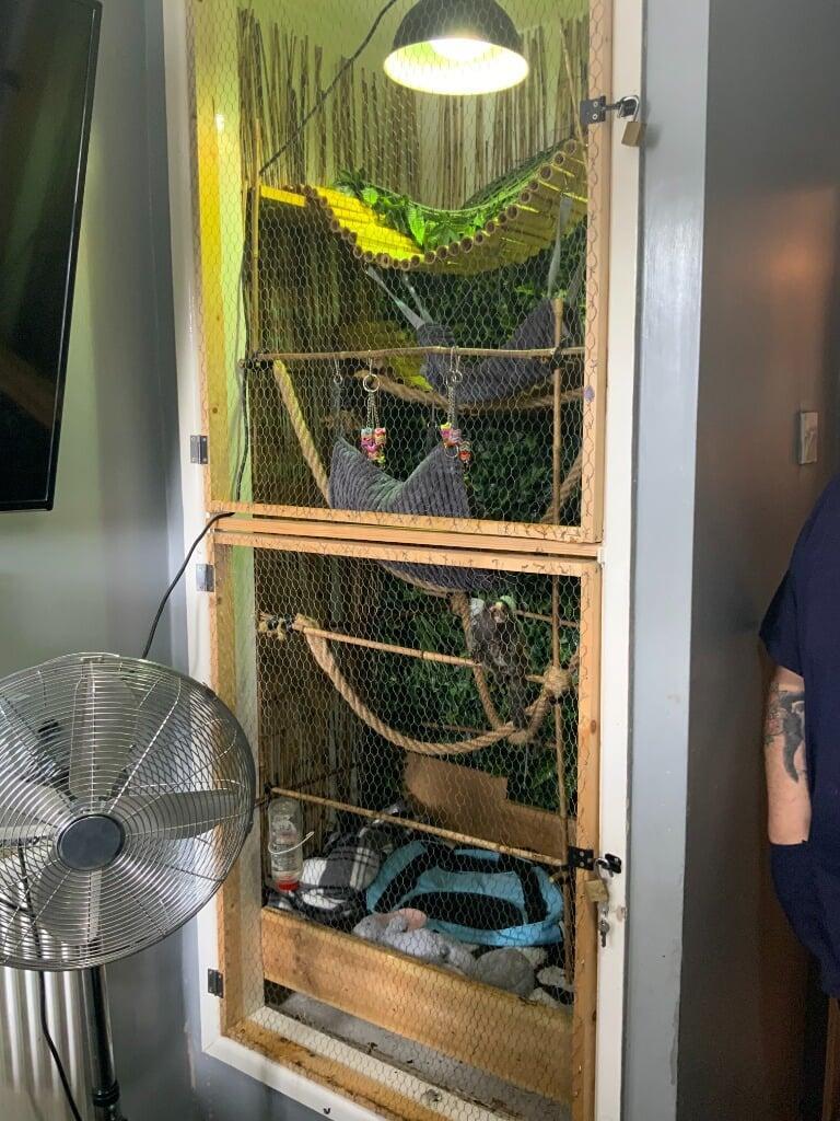 Hugo's enclosure before rescue, full front view